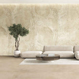 Provbit Klinker Navona Soft Candido Marmor Matt 60x60