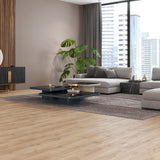 Provbit Laminatgolv Oak Natur 8 mm, 1-stav