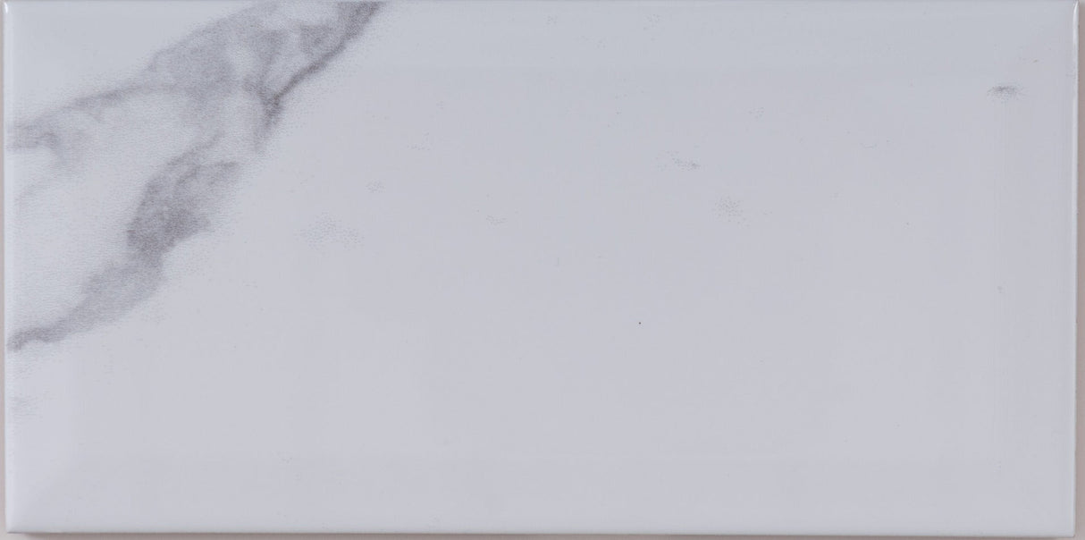 Kakel Carrara Marmor 10x20